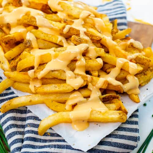 French Fries With Cheese 
